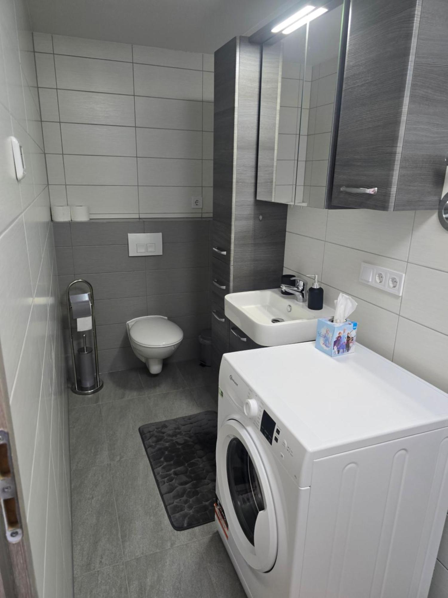 Klimatisierte Moderne Einzimmerwohnung In Mahlberg Kültér fotó